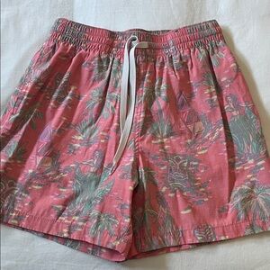 Chubbies Swim Trunk Shorts Hawaii Tiki Hula Girl Print Lined Pockets